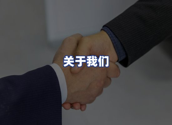 专业团队